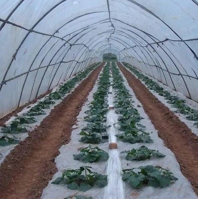 FSSC Plastik Katkı Maddesi Anti - Sislenme Önleyici - Tarımsal Plastik Film İçin Damlama Maddesi DMG95