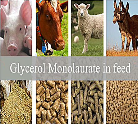 Yem Katkıları: Glycerol Monolaurate GML80 Powder for Animal